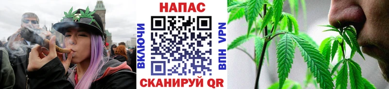 Каннабис сатива что такое наркотик Вихоревка
